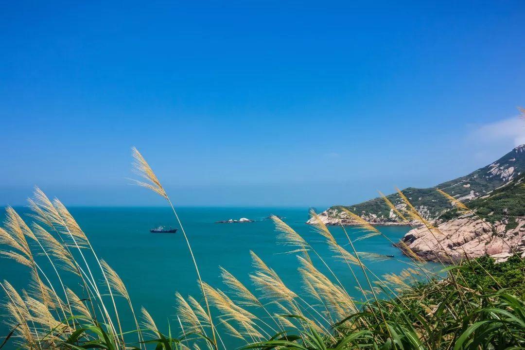 沪江开心词场