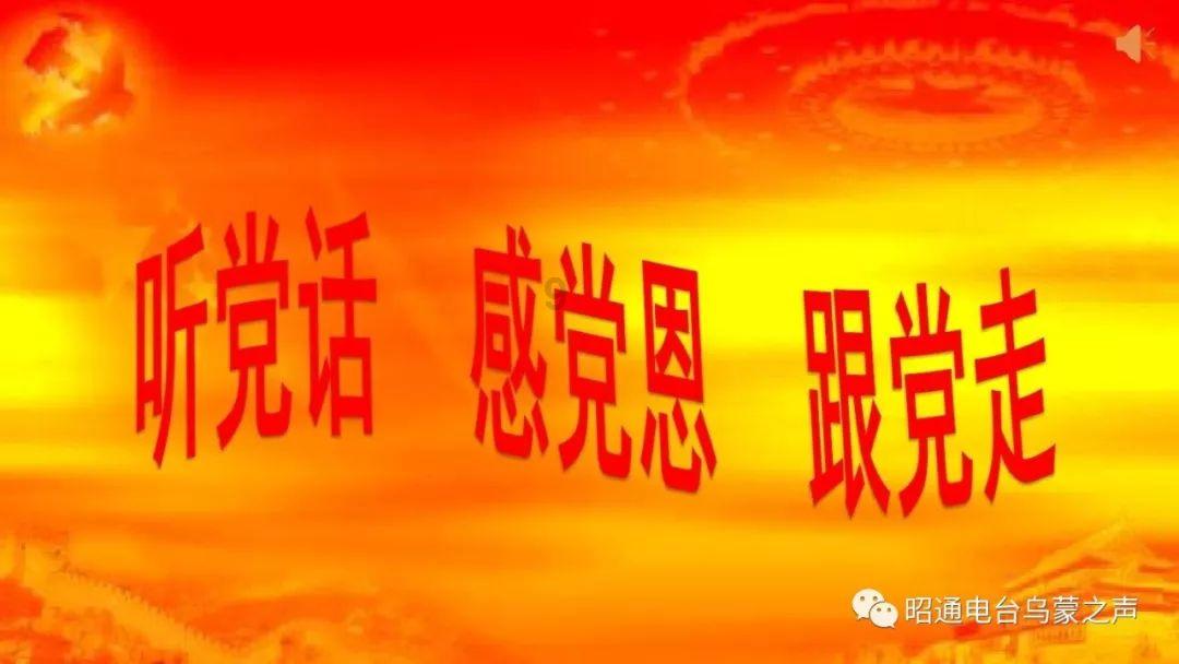 88影视